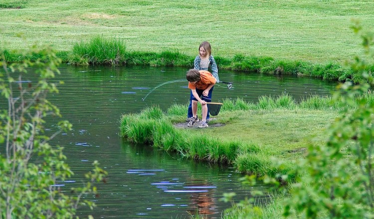 Best places to fish with Kids in Arizona!