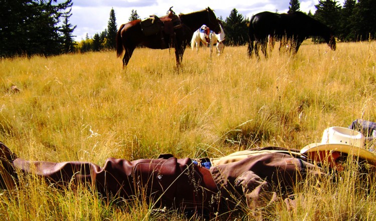Horseback Riding