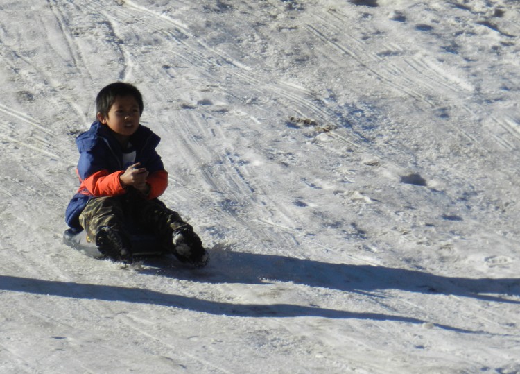 Sledding - Greer Lodge AZ