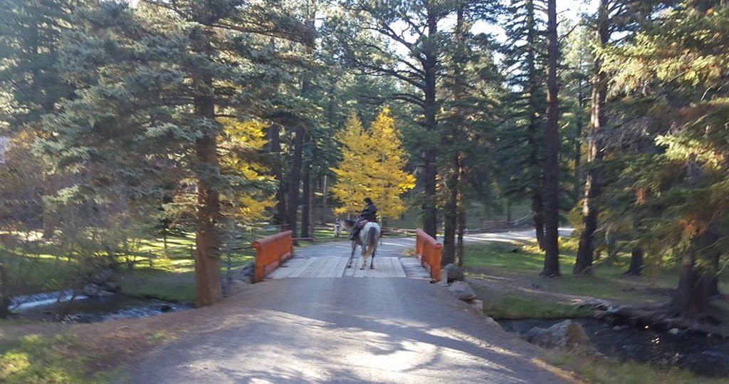 Horseback riding in the Fall