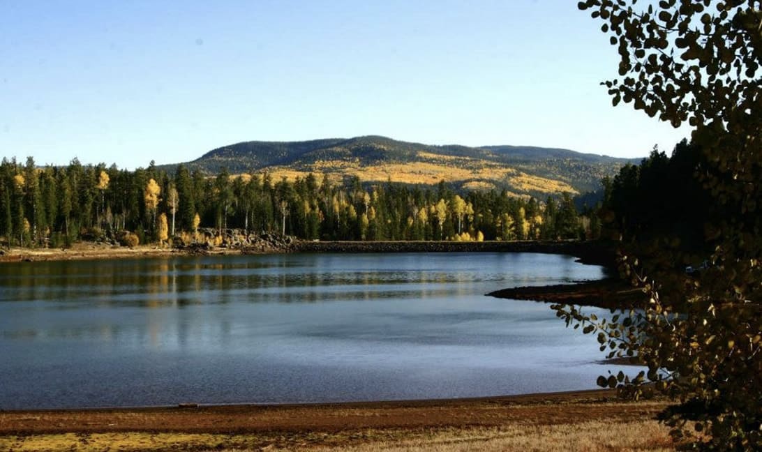 Fall hikes & scenic walks
